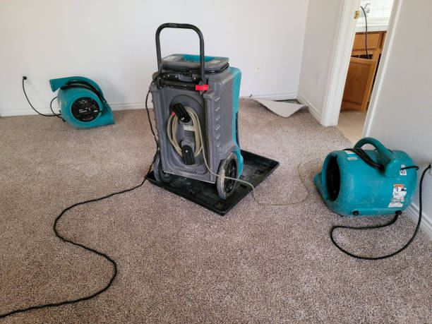  Clearwater, KS Water damage restoration Pros